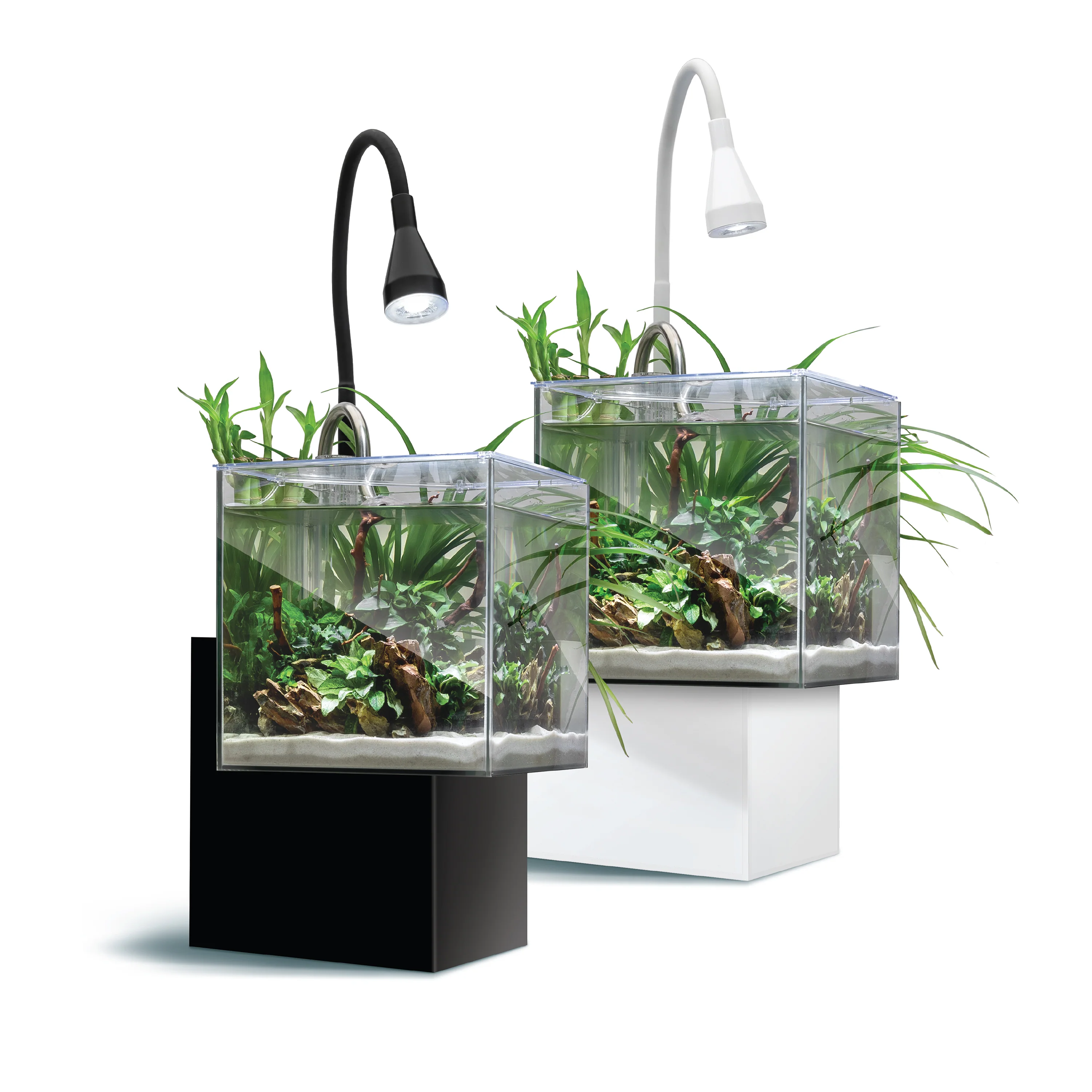 New Products